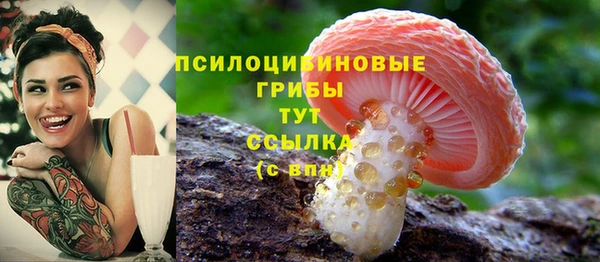 МДПВ Арсеньев
