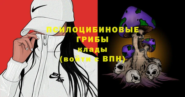 МДПВ Арсеньев