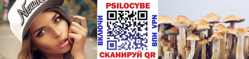 блэк спрут ONION  как найти   Аткарск  Галлюциногенные грибы мицелий 